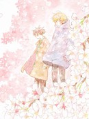 天降花信