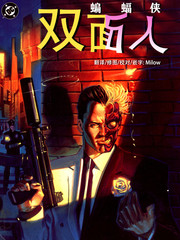蝙蝠侠：双面人