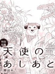 天使的足迹